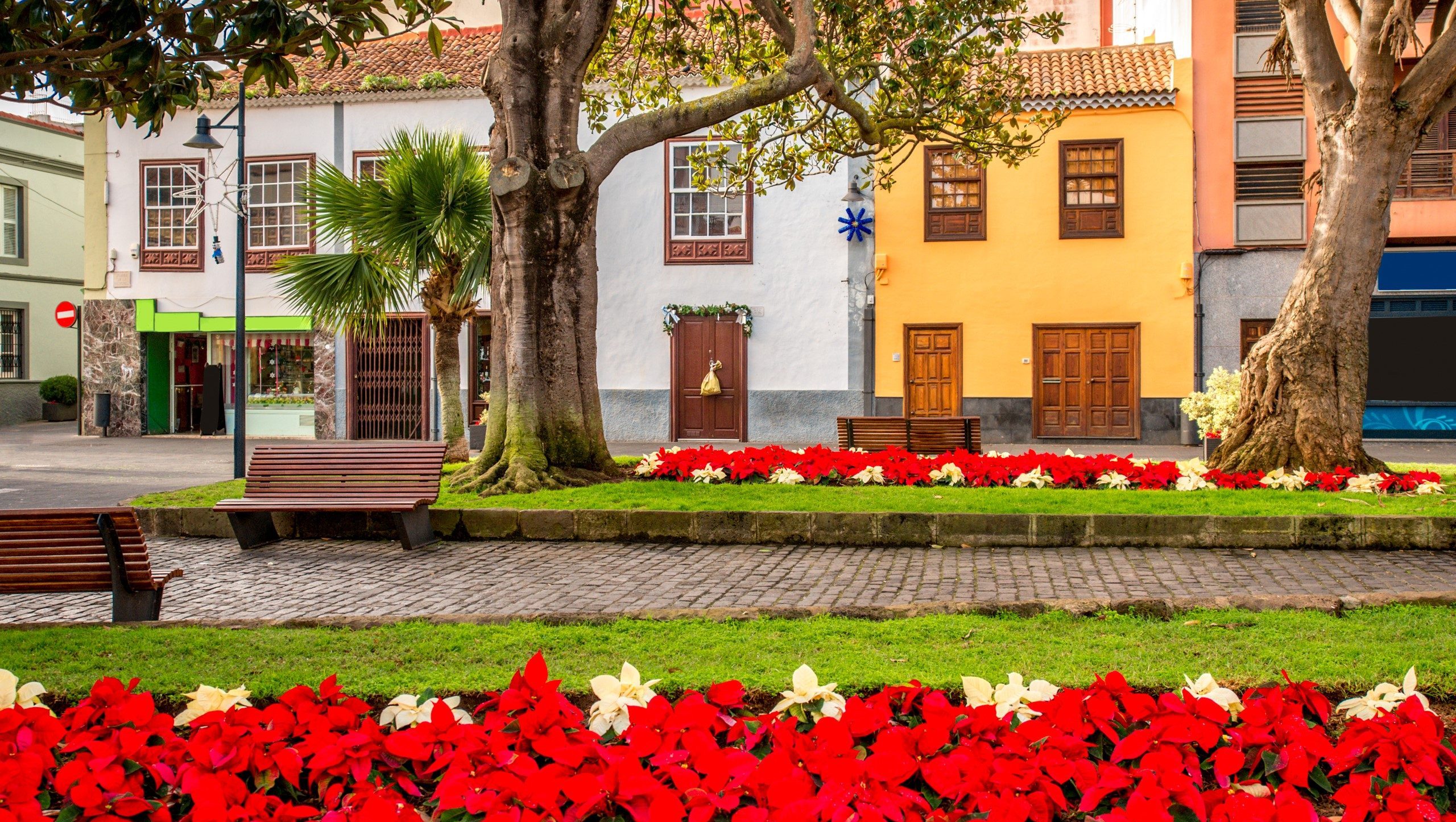Plaza central en La Laguna,
